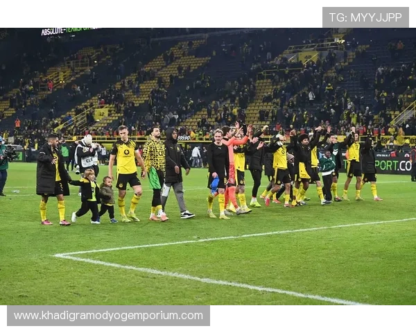 德甲各队阵容深度盘点：多特蒙德与拜仁慕尼黑竞争格局持续提升