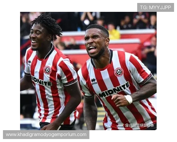 谢菲尔德联队英冠夺冠后重返英超表现稳健